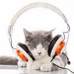 radio_da_profa_Jacky