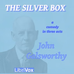 Silver Box