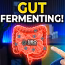 The Real Reason You're Bloated: Fermentation and SIBO