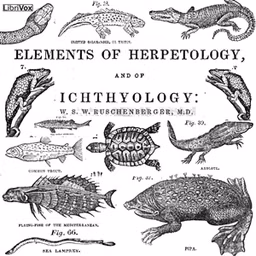 Elements of Herpetology and Ichthyology, The by William Ruschenberger (1807 - 1895)