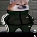 Kkkkkkkk