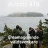 478. Ensamagerande våldsverkare