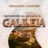 Episódio 333 | A Pedagogia do Caminho: Aprendendo no Percurso a Galileia - Pr. Francisco Chaves