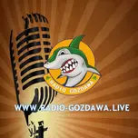 Radio Gozdawa Live Podcast
