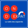 Podcast : pourquoi stigmatiser ainsi les Français de l’étranger ?