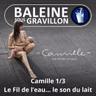 S08E09 Camille... sous le gravillon 1/3 : "Dans la nature, tout est vibration, tout est musique..."