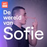 Leugenaar!