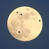 Nighttime Flights of Songbirds