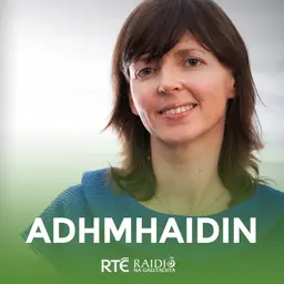 Adhmhaidin