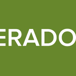 ALTERADOS ZZ