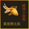 公園の椅子
