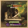 Special Broadcast - Libe Roots de Dub in Soul