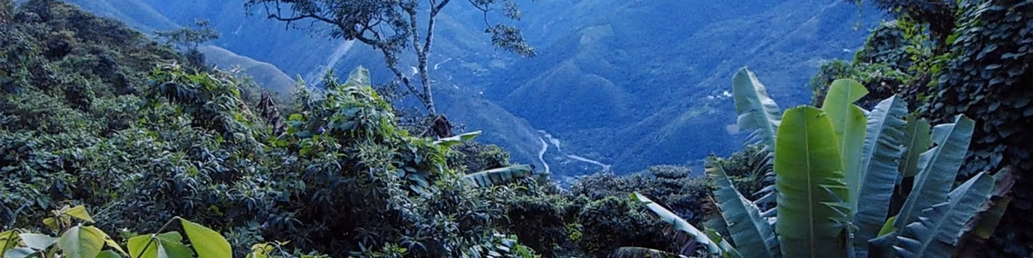 Radio  Nueva Vida en Cristo FM-Yungas