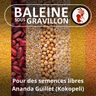 Qu'est devenu l'agriculture ? (Ananda Guillet, Kokopelli)