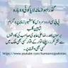 Shaheen Club