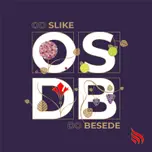 Od slike do besede