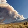 Wildfire Smoke vs. You and Your Garden