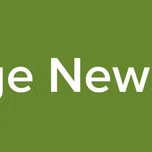Image News FM
