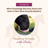 98: When Knowledge Becomes Noise (And How to Filter What Actually Matters)