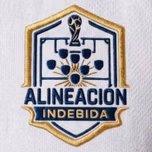 Alineación Indebida