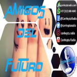 Amigos del Futuro
