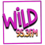 WILD 95.3 FM