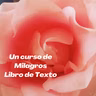 Capítulo 5 - V. El uso que el ego hace de la culpabilidad.