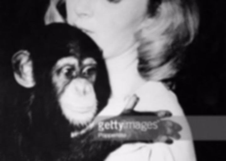 Jane goodball