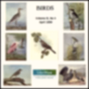 Birds, Vol. III, No 4, April 1898 by Various