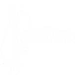 Amor Viviente Girona Radio