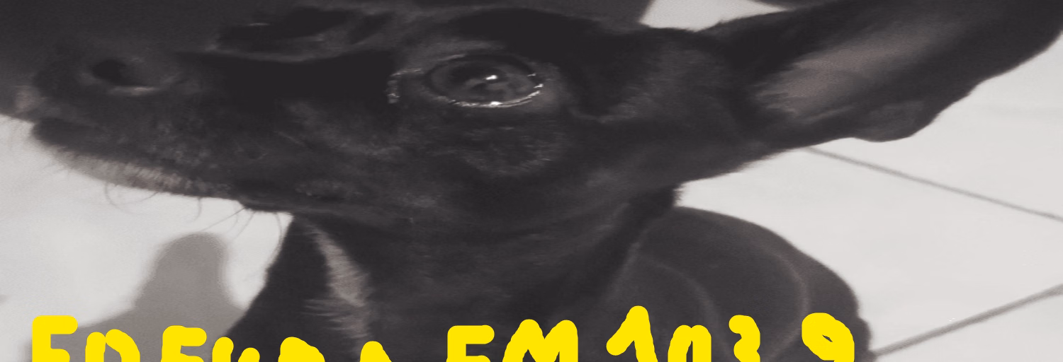 Radio fofura