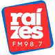 Rádio Raízes FM