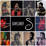 Sunflower Live Show