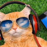 Web Rádio Comunidade Café