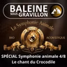 BEST OF D'ÉTÉ #38 Symphonie animale 4/8 : Les larmes... et le chant des crocos