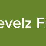 Levelz Fm