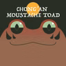 Chong'an Moustache Toad | Week of OcTOADber 26th