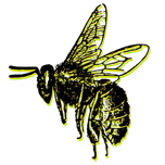 Kilobee