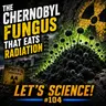 The Chernobyl Fungus That Eats Radiation