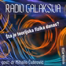 Radio Galaksija #206: Šta je teorijska fizika danas? (dr Mihailo Čubrović) [20-01-2026]