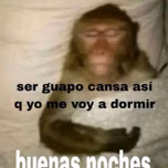 Guarachadj