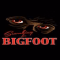 Searching For Bigfoot