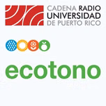 Ecotono