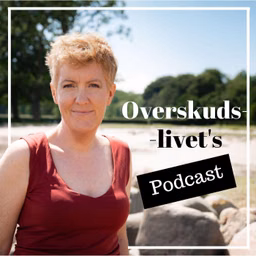 OVERSKUDSLIVET
