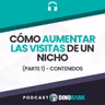 Cómo aumentar las visitas de un nicho (parte 1) - contenidos
