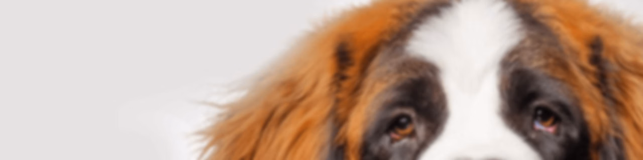TalkPets: Pet Parenting