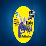 Radio Pegasso De Monclova (Saltillo)