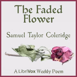 Faded Flower