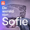 Scholieren met stress