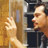 All about termites with Dr. Thomas Chouvenc